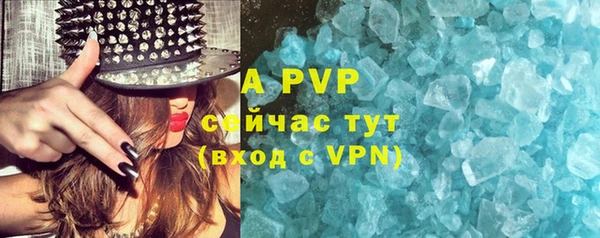 PSILOCYBIN Волосово
